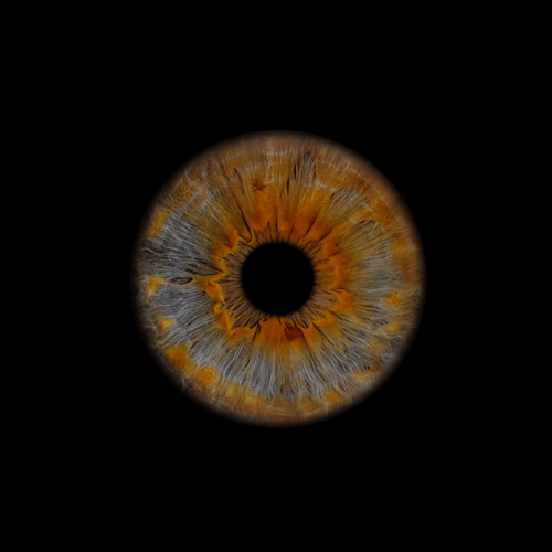 iris-uebermich (1) hinter-der-kamera